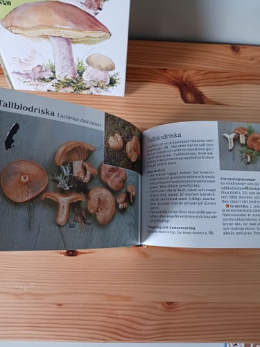 Svampbok: Lilla svampboken av Pelle Holmberg & Hans Marklund, 2003