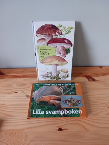 Svampbok: Lilla svampboken av Pelle Holmberg & Hans Marklund, 2003