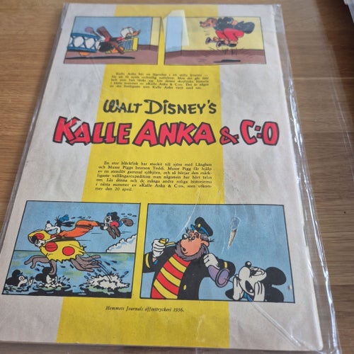 Långben - Walt Disney's Serier, 1956