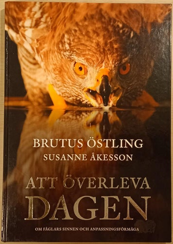 Att överleva dagen: om fåglars sinnen och anpassningsförmåga / Brutus Östling...