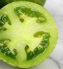Green Zebra