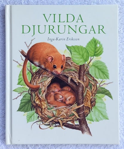 Vilda djurungar – vackert illustrerad barnbok