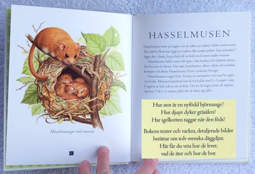 Vilda djurungar – vackert illustrerad barnbok