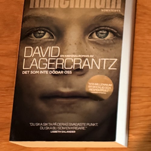 Det som inte dödar oss av David Lagercrantz, 2015