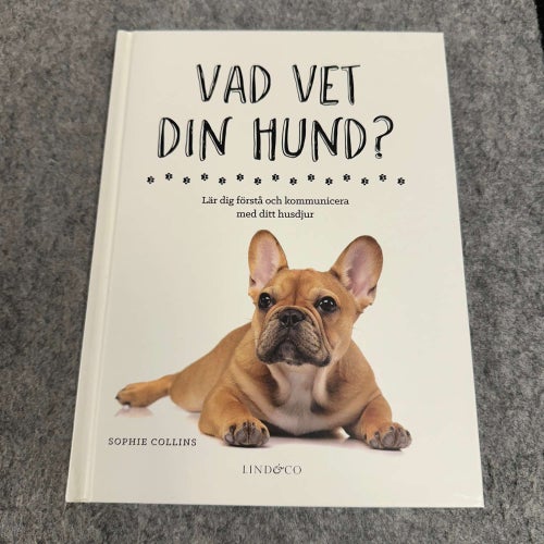 Sophie Collins - Vad vet din hund