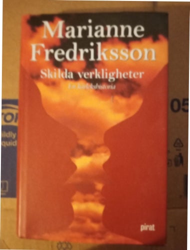 Skilda verkligheter av Marianne Fredriksson, 2004