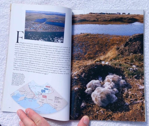 National geographic, 13/2002 – fjällugglor, Hawaii, rymdteleskopet Chandra
