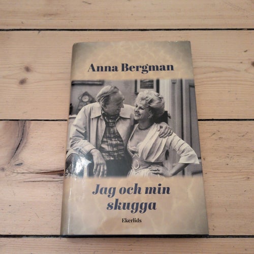 Jag och min skugga av Anna Bergman, 1990