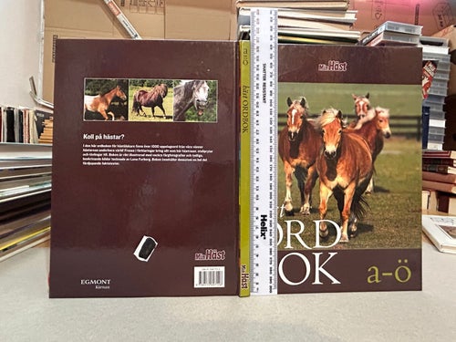 Hästordbok a-ö av Jessica Bergström. Bok. Very Fine plus