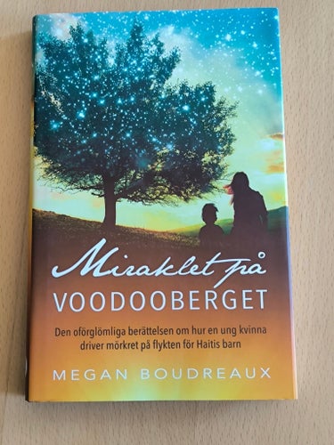 Miraklet på Voodooberget av Megan Boudreaux