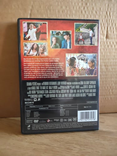 The Karate Kid (2010) – Jaden Smith & Jackie Chan