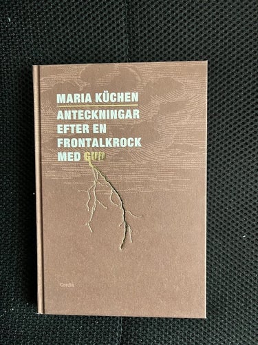 Anteckningar efter en frontalkrock med Gud av Maria Küchen