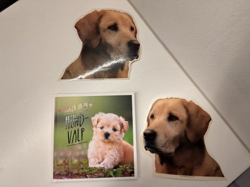 Kärlek är en Hundvalp - Ny!