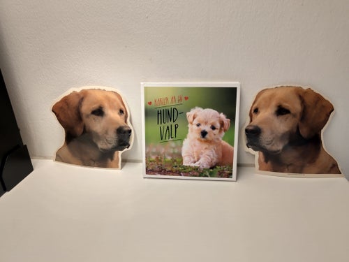 Kärlek är en Hundvalp - Ny!