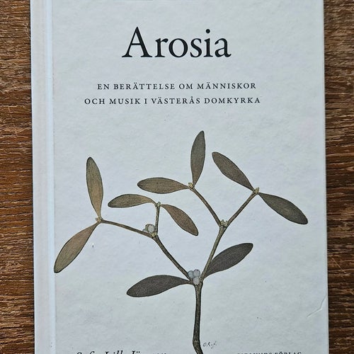 Arosia - en berättelse om människor och musik i Västerås domkyrka, Jönsson