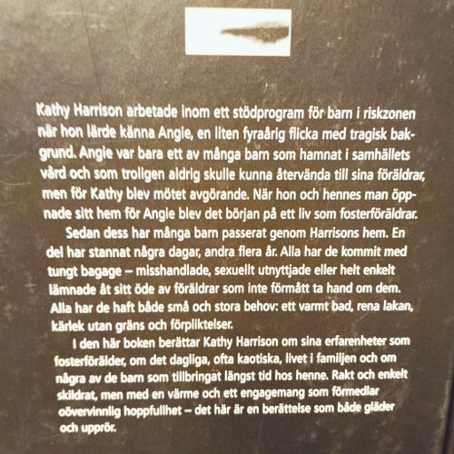 De bortglömda barnen av Kathy Harrison
