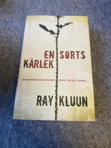 Ray Kluun - En sorts kärlek