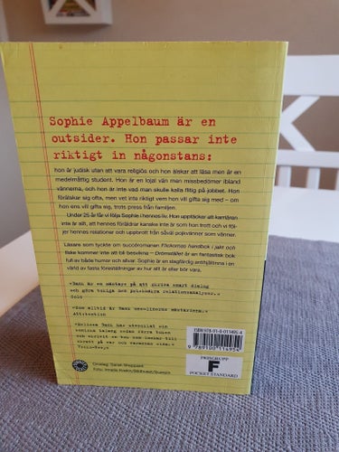 Drömstället av Melissa Bank (2004)