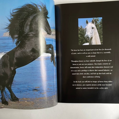 The Beautiful Horse
