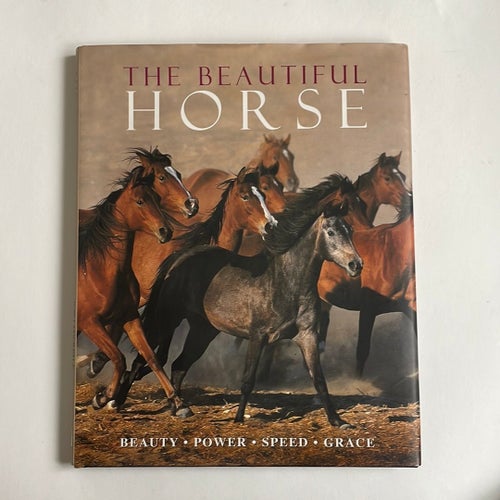 The Beautiful Horse