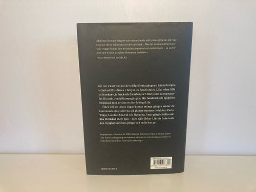 Den stygga flickans rackartyg - Mario Vargas Llosa - 2010 - Inbunden