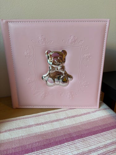 Foto Album Rosa med silvernalle