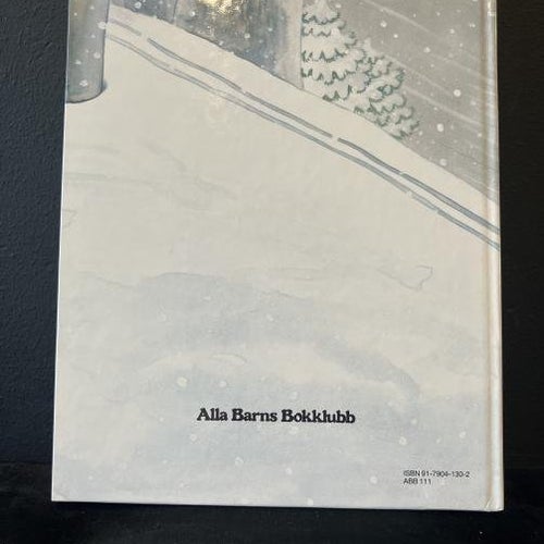 Bok - Det spökar i snön Ingrid Warne