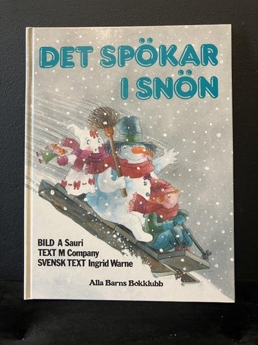 Bok - Det spökar i snön Ingrid Warne