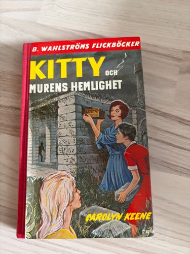 Kitty och murens hemlighet av Carolyn Keene
