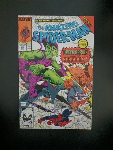 Amazing Spider-Man (1963 1st Series) #312
