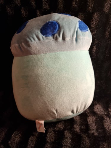 Squishmallow Svamp