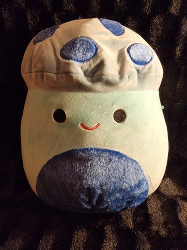 Squishmallow Svamp