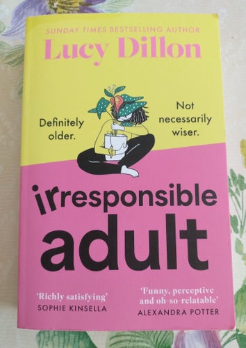 LUCY DILLON IRRESPONSIBLE ADULT CHICK LIT FEEL GOODBOK LÄTTLÄST