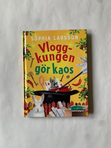 Vlogg-kungen gör kaos av Sophia Larsson