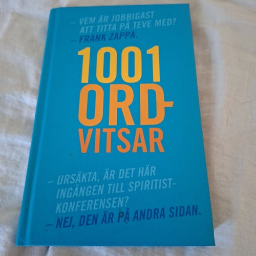 1001 Ordvitsar