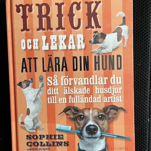 Trick och lekar att lära din hund. / Sophie Collins