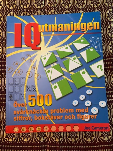 IQ-utmaningen av Joe Cameron, 2007