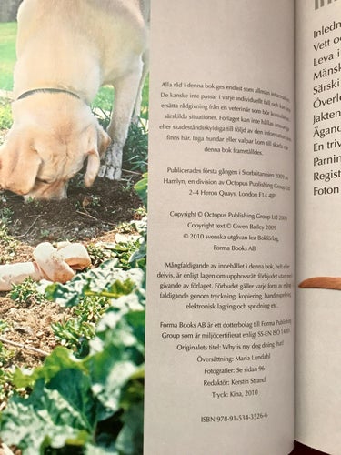 VARFÖR GÖR HUNDEN SÅ? Gwen Bailey 2010