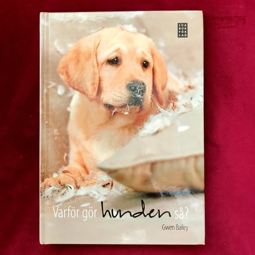 VARFÖR GÖR HUNDEN SÅ? Gwen Bailey 2010