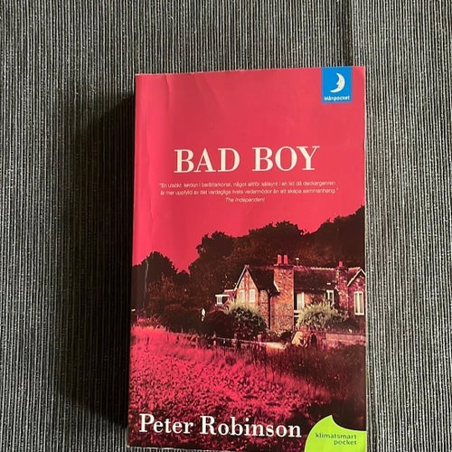 Bad Boy av Peter Robinson, 2001 Pocketbok