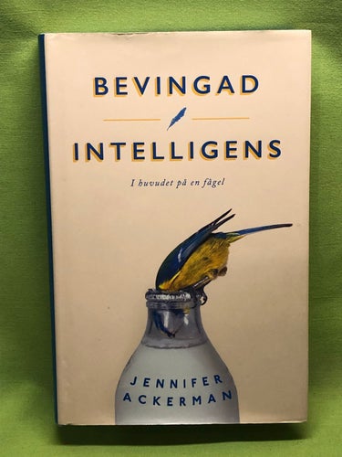 Bevingad intelligens i huvudet på en fågel / Ackerman, Jennifer