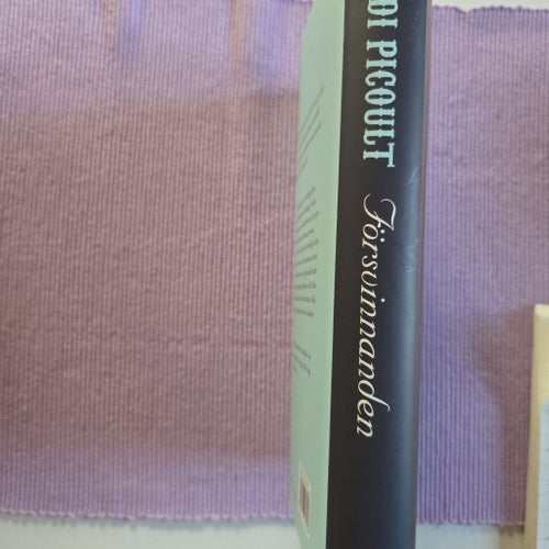 Försvinnanden av Jodi Picoult, 2004