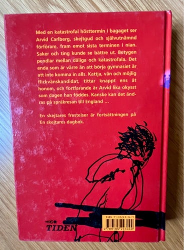 En skejtares frestelser - Andreas Soneryd