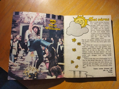 Starlet 1980 nr 15 idol Treat Williams. Very Good plus