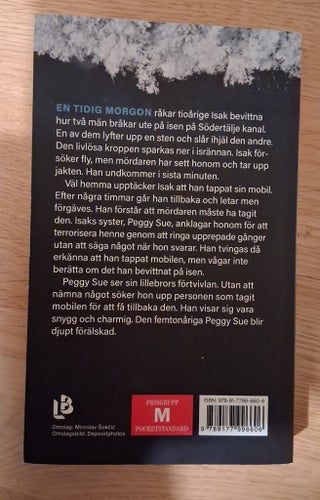 Stenmannen av Inger Frimansson 2024