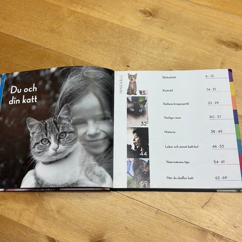 Du och din katt