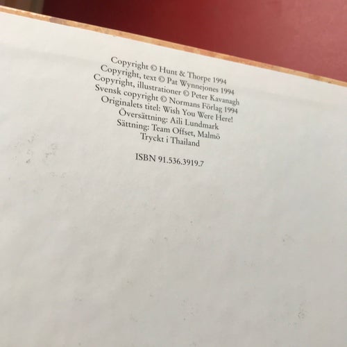 JAG ÖNSKAR ATT DU VAR HÄR! personliga brev från människor i Bibeln P. Wynnejones