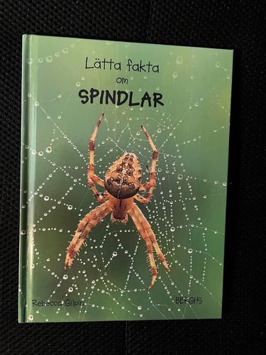 Lätta fakta om spindlar. / Rebecca Gilpin