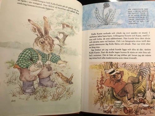 Djuren i gläntan - Välkommen Bosse Bäver