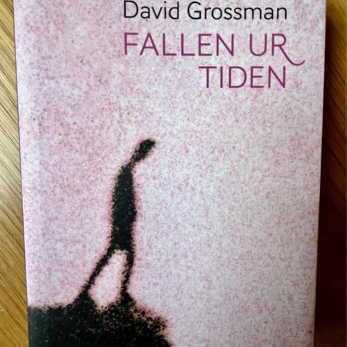 Fallen ur tiden - David Grossman